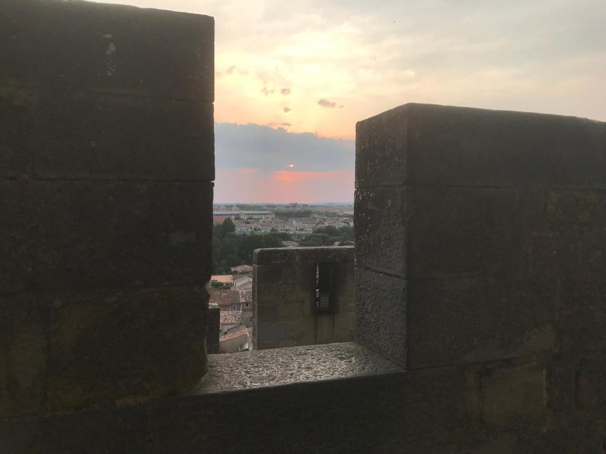 Le Clos Saint Michel Carcassonne Eksteriør bilde