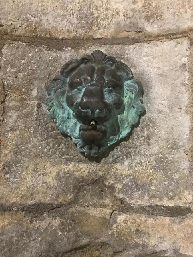 Le Clos Saint Michel Carcassonne Eksteriør bilde