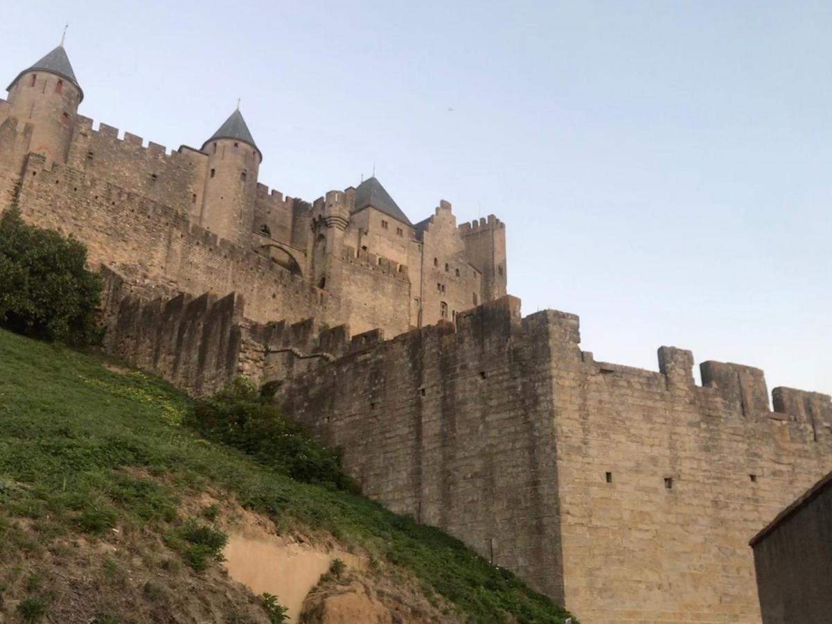 Le Clos Saint Michel Carcassonne Eksteriør bilde