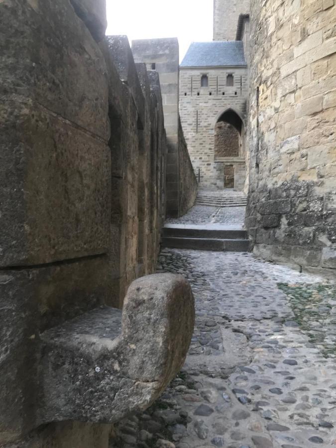 Le Clos Saint Michel Carcassonne Eksteriør bilde